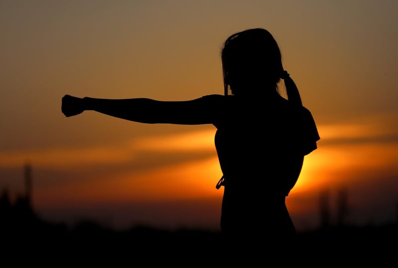 Martial arts training